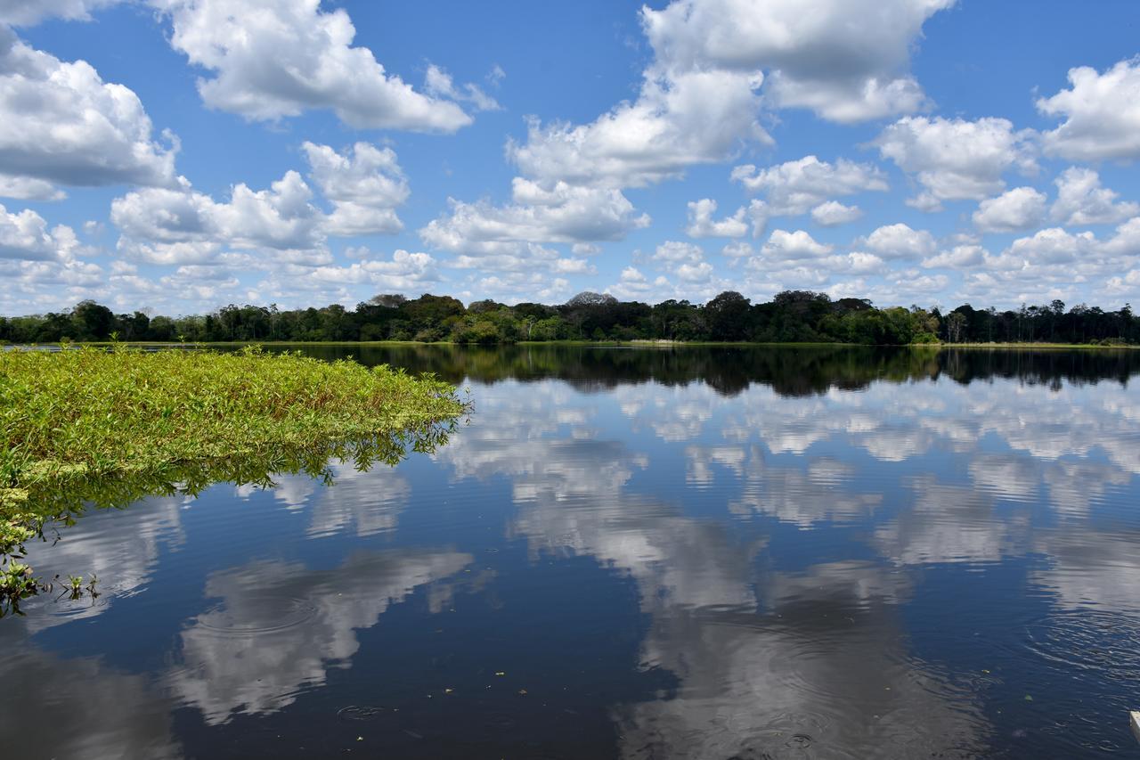 Yaku Amazon Lodge & Expeditions Paraíso Zewnętrze zdjęcie